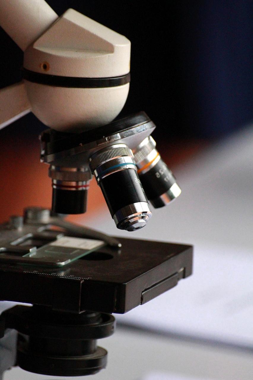 AI-powered threat detection algorithms analyzing network traffic patterns