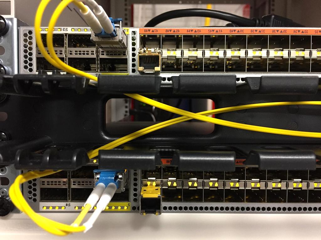 Real-time neural network activity monitoring dashboard